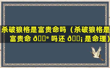 杀破狼格是富贵命吗（杀破狼格是富贵命 💮 吗还 🐡 是命理）